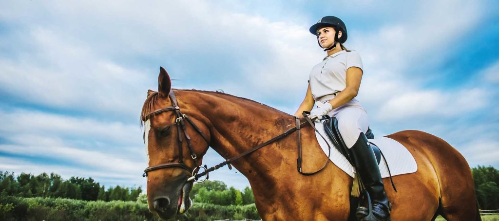 Young jockey girl riding a brown horse in the summer at sunset