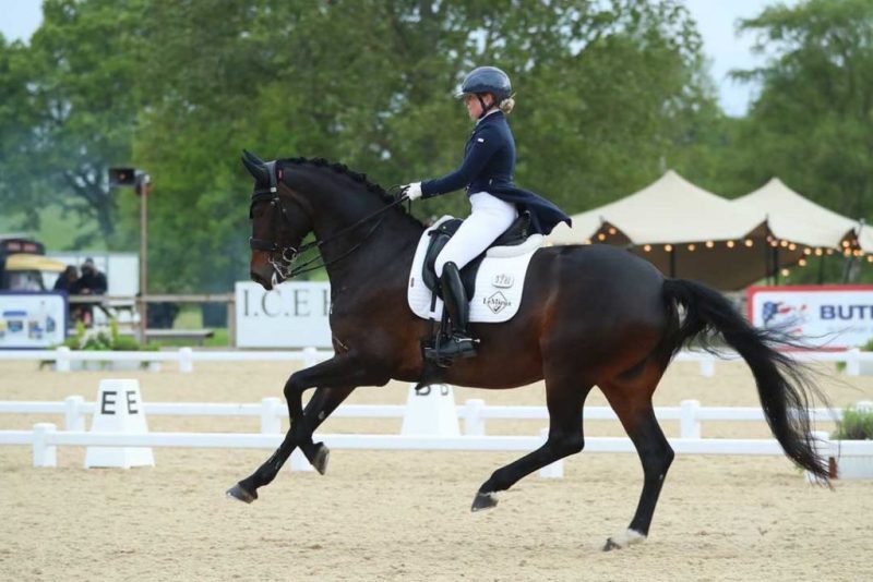 person riding horse