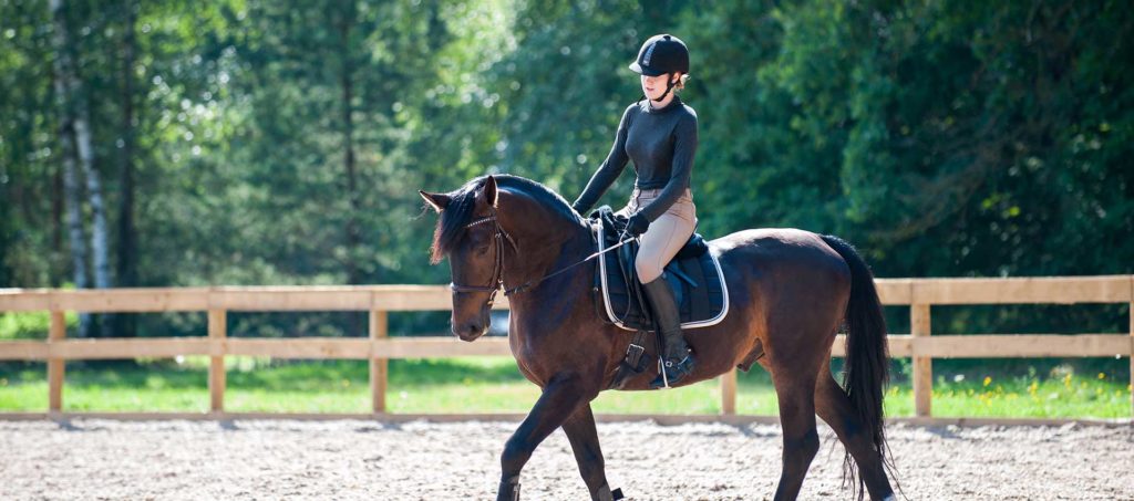 Training process. Young teenage girl riding bay trotting horse on sandy arena practicing at equestrian school. Colored outdoors horizontal summertime image with filter